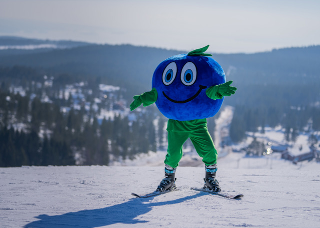 The Bärra mascot stands on skis at the top of a snowy slope with a wide view of the winter landscape.